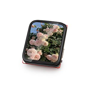 MaTouch ESP32-S3 AMOLED with Touch 1.8'' FT3168-2